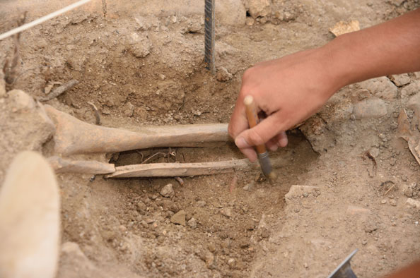 Escavação de emergência em Bucelas revela necrópole do século XVII