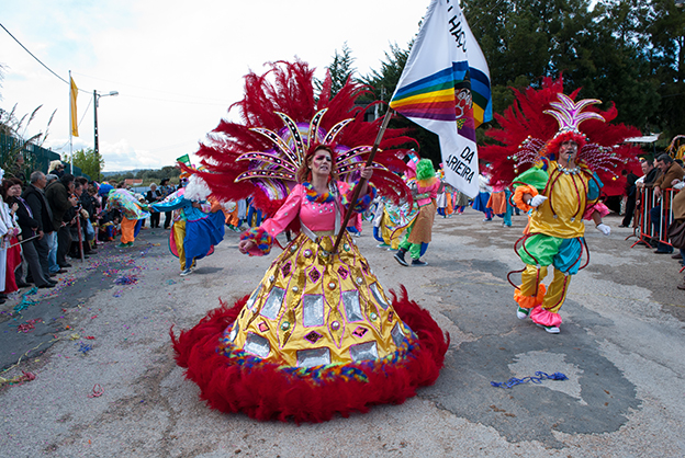 Animação Carnaval Saloio