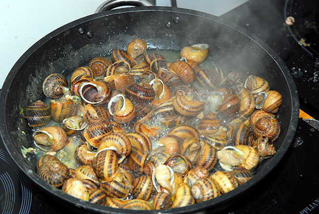 Gastronomia Festival do Caracol Saloio
