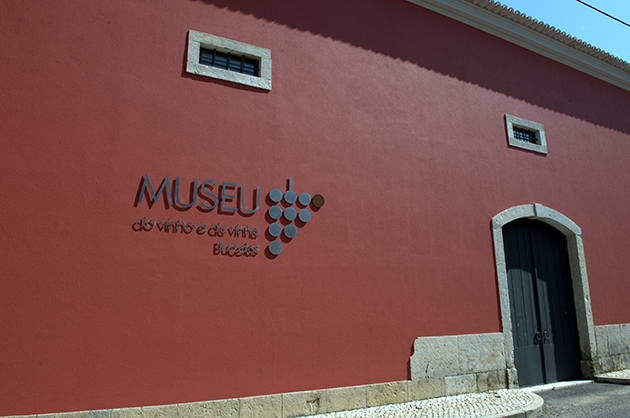 Bucelas Museu do Vinho e da Vinha