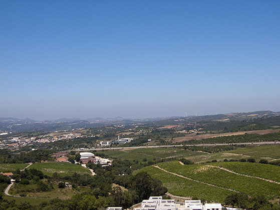 Zona norte Vista sobre as vinhas de Bucelas