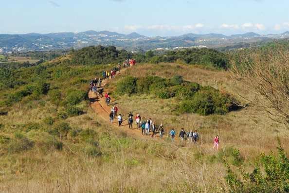 percursos culturais e de recreio