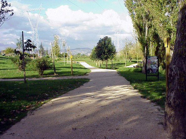 Circuito Sto.Ant.-Cavaleiros