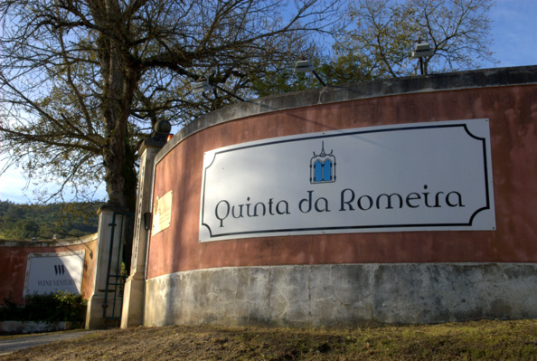 Visita à Wine Ventures/Quinta da Romeira, em Bucelas