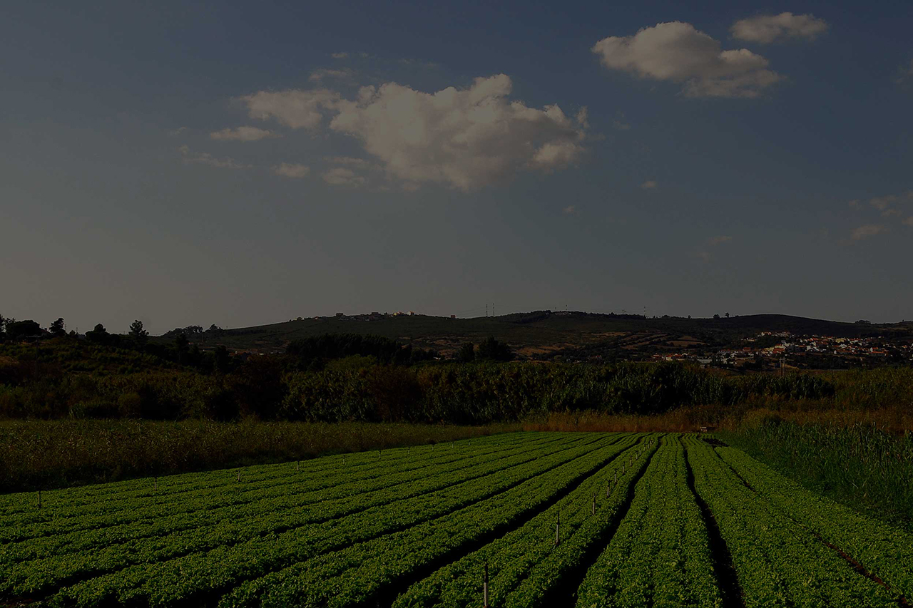 Várzea de Loures