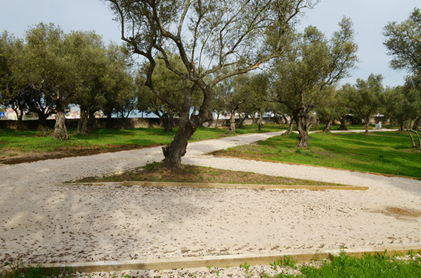 Vista geral Quinta dos Remédios