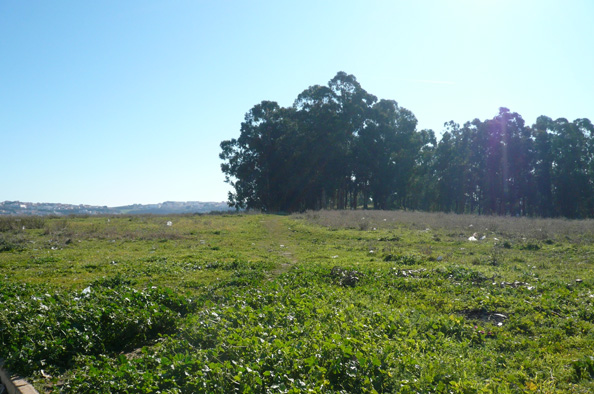 Imóvel de Interesse Público