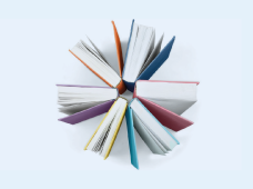 indexa maria amália