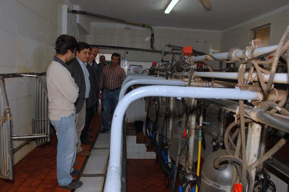 Novo PDM de Loures permite licenciar vacaria de Frielas