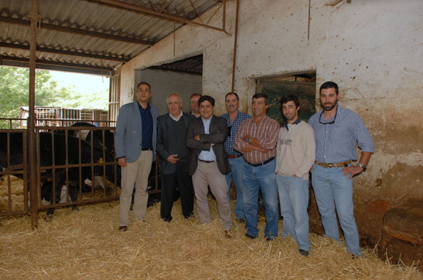 Novo PDM de Loures permite licenciar vacaria de Frielas