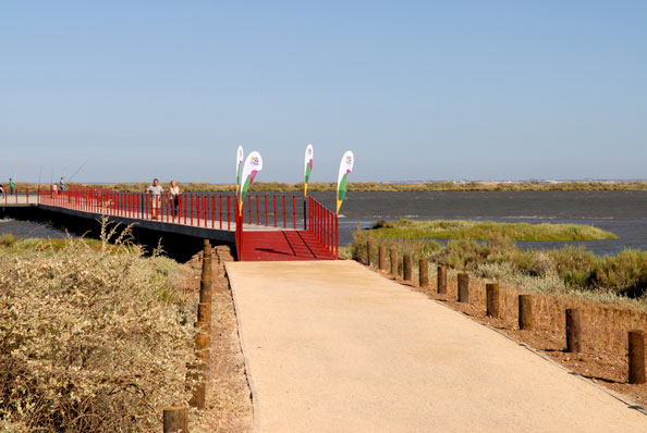 Projetos Cofinanciados