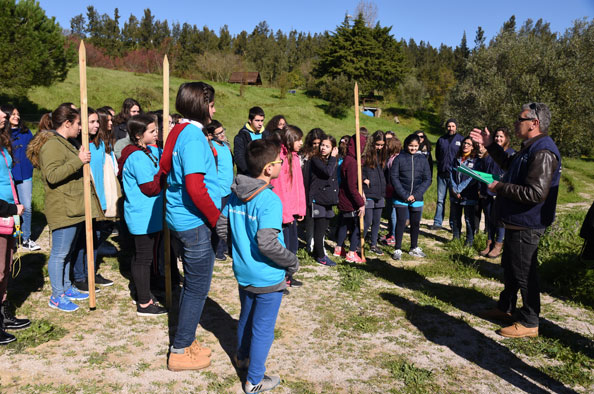 Plantação de pinheiros no Dia Mundial da Árvore
