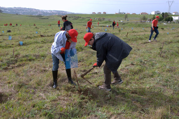 Hovione promoveu ação de responsabilidade social com replantação de espécies arbóreas