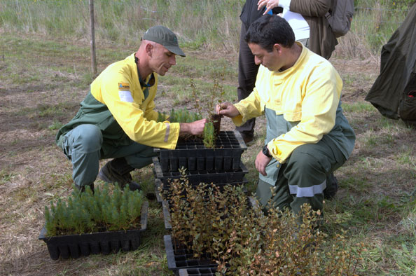 Hovione promoveu ação de responsabilidade social com replantação de espécies arbóreas