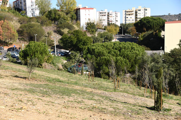 Parque Urbano da Encosta de Santo António dos Cavaleiros