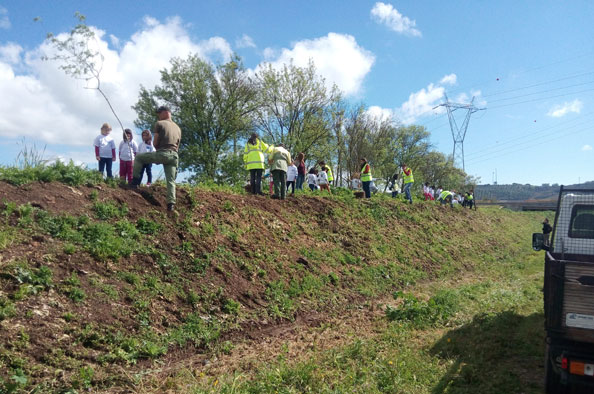 Água/Ambiente