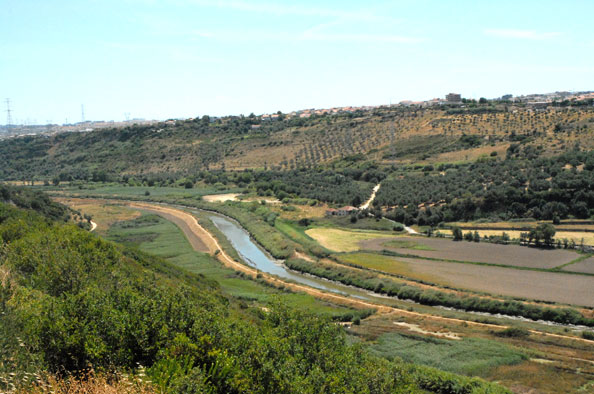 Biodiversidade/Ambiente