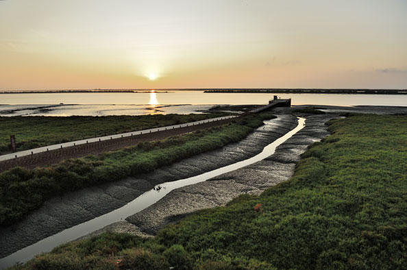 Biodiversidade/Ambiente