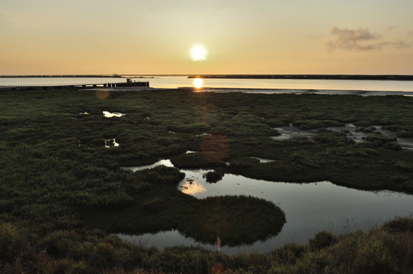 Biodiversidade/Ambiente