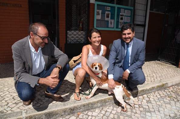 Adoção de cães do CRO_1