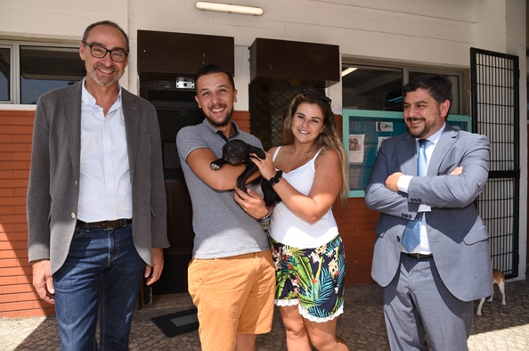 Adoção de cães do CRO_4