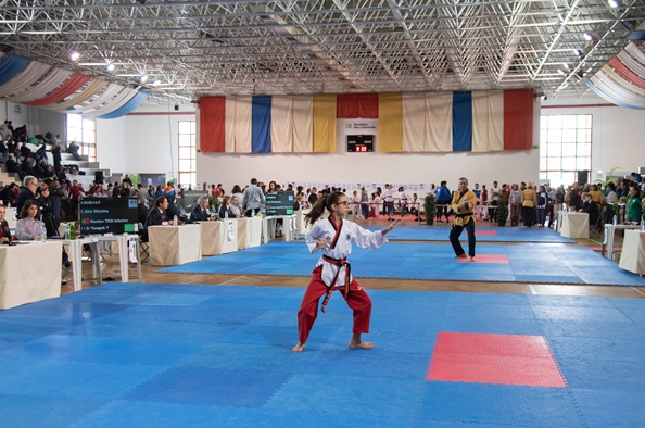 TaekwondoPoomsaes1