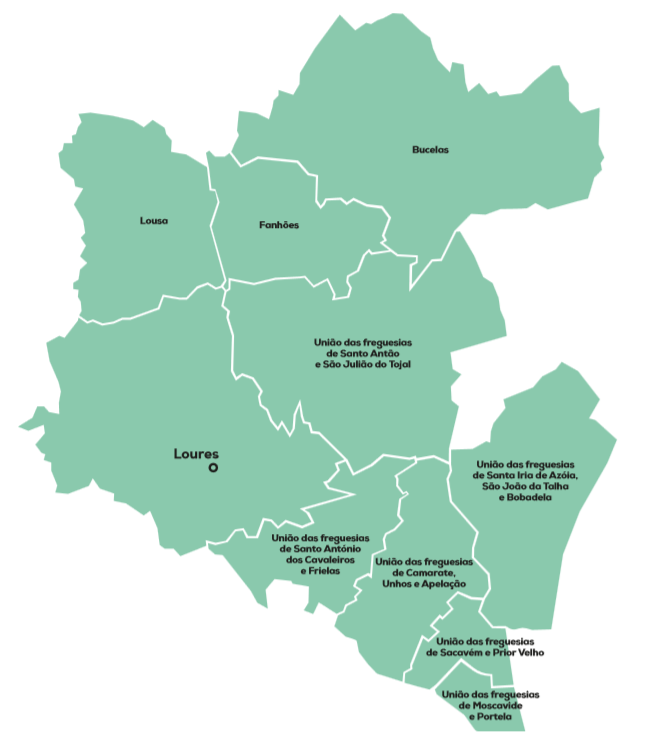 mapa concelho 2020