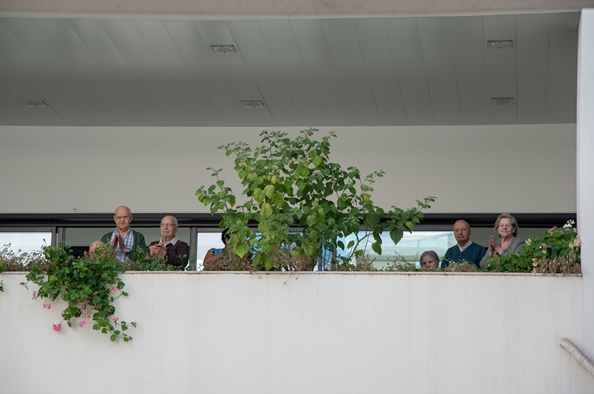 Animar com Mimo celebra Mês do Idoso 4