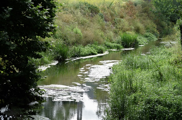 Guia de Campo de apoio às visitas a linhas de água 3
