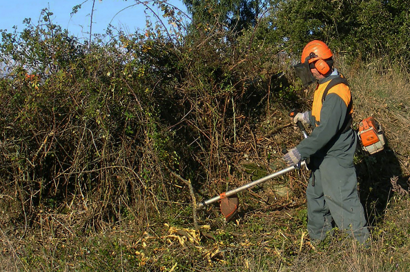 Limpeza terrenos maio 