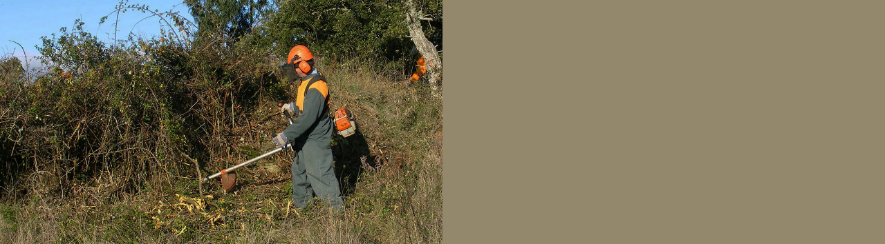 banner limpeza terrenos 21