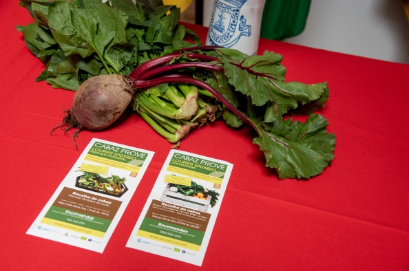 Ação de sensibilização em agricultura biológica - 4