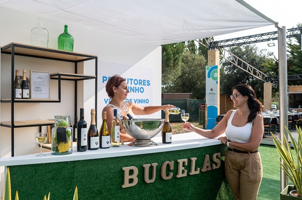 Já começou a 22.ª edição do Festival do Caracol Saloio 8