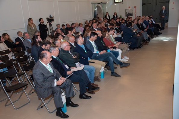 Município homenageia PME Líder e Excelência do concelho 8