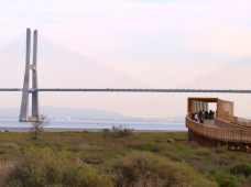 há vida em montachique 3 fev2024