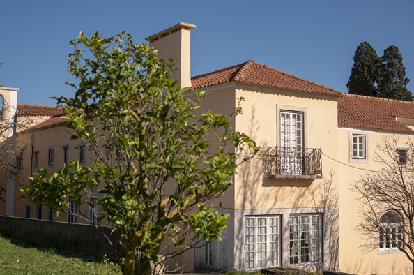 Mussu Municipal de Loures_6