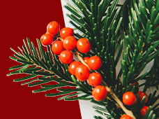 Música em Si Maior_20 dezembro 2024