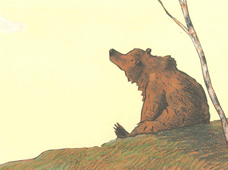 TC - O mistério do urso - 18 jan 2025- BMJS - Agenda