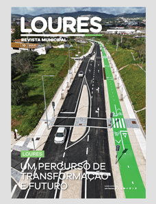 index revista 10 b