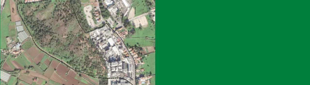 PP Hovione_banner_ret