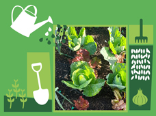 Até Novembro Ciclo de workshops: Vamos à Horta?