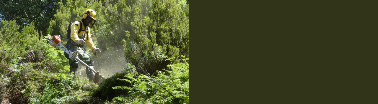 limpeza terrenos 2026_banner