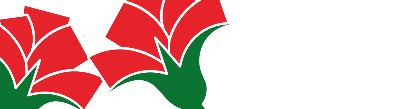 comemorações 25 abril 2026_banner