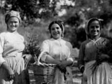 Mulheres da terra